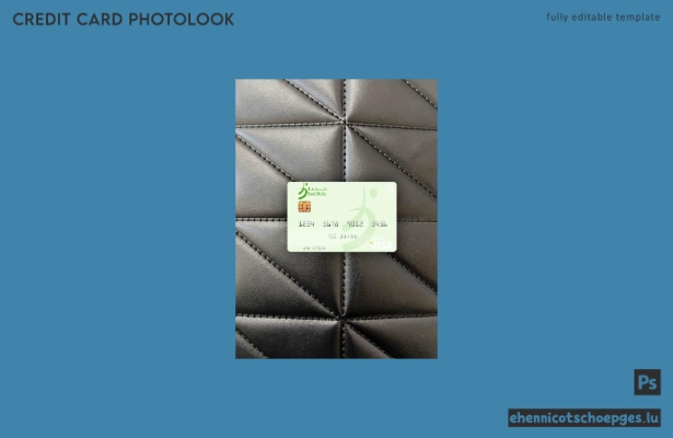 Oman Bank Dhofar Visa Debitkarte – Fotobeispiel-Vorschau